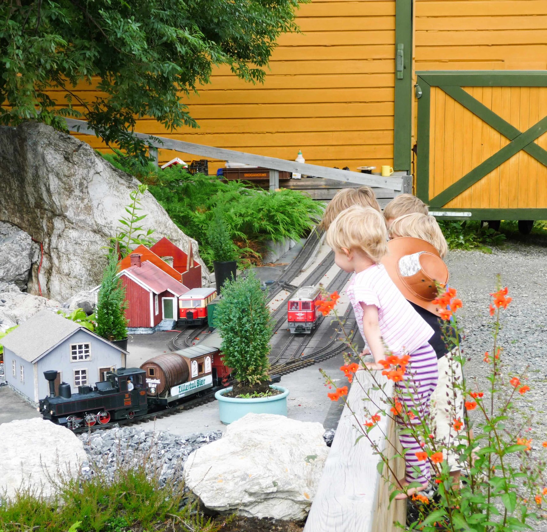 Barn står vid staketet och tittar på tågen på trädgårdsbanan